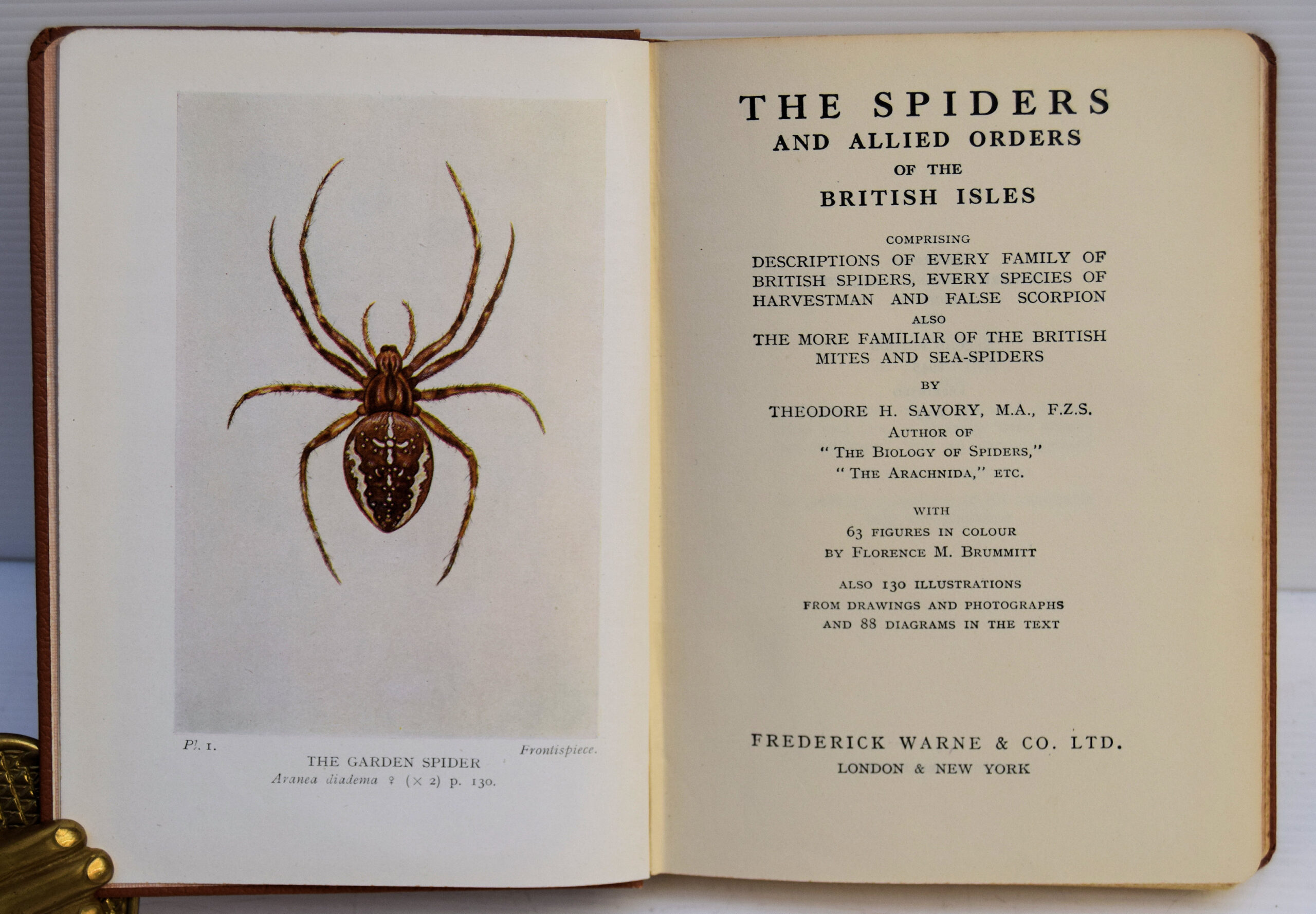 THE SPIDERS AND ALLIED ORDERS OF THE BRITISH ISLES. - Image 2