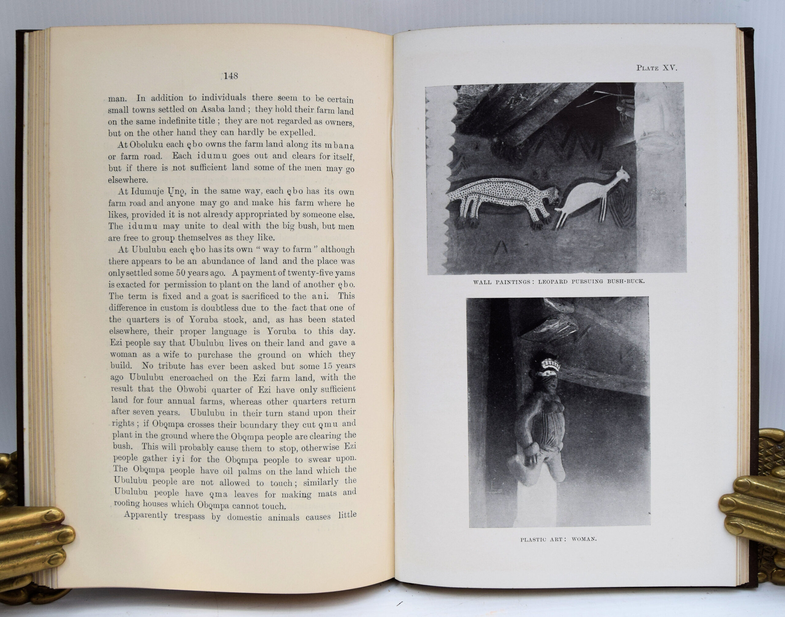 ANTHROPOLOGICAL REPORT ON THE IBO-SPEAKING PEOPLES OF NIGERIA. - Image 8