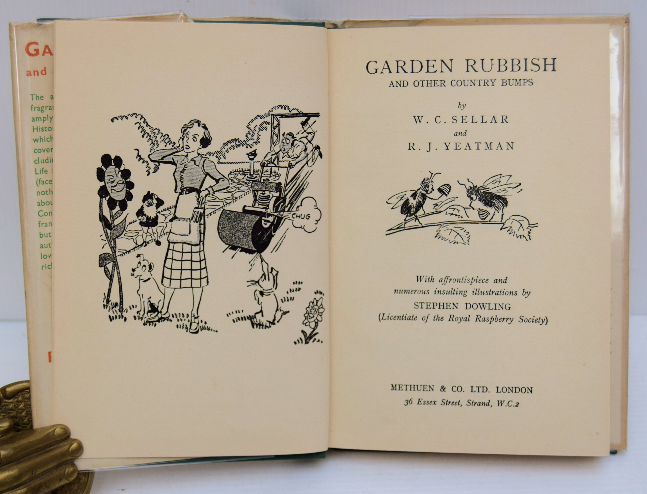 GARDEN RUBBISH. - Image 2