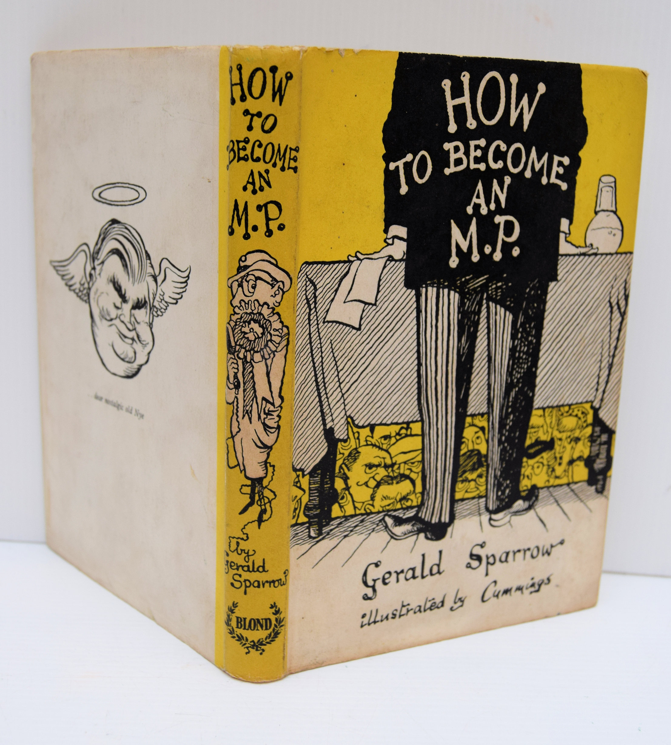 HOW TO BECOME AN M.P.