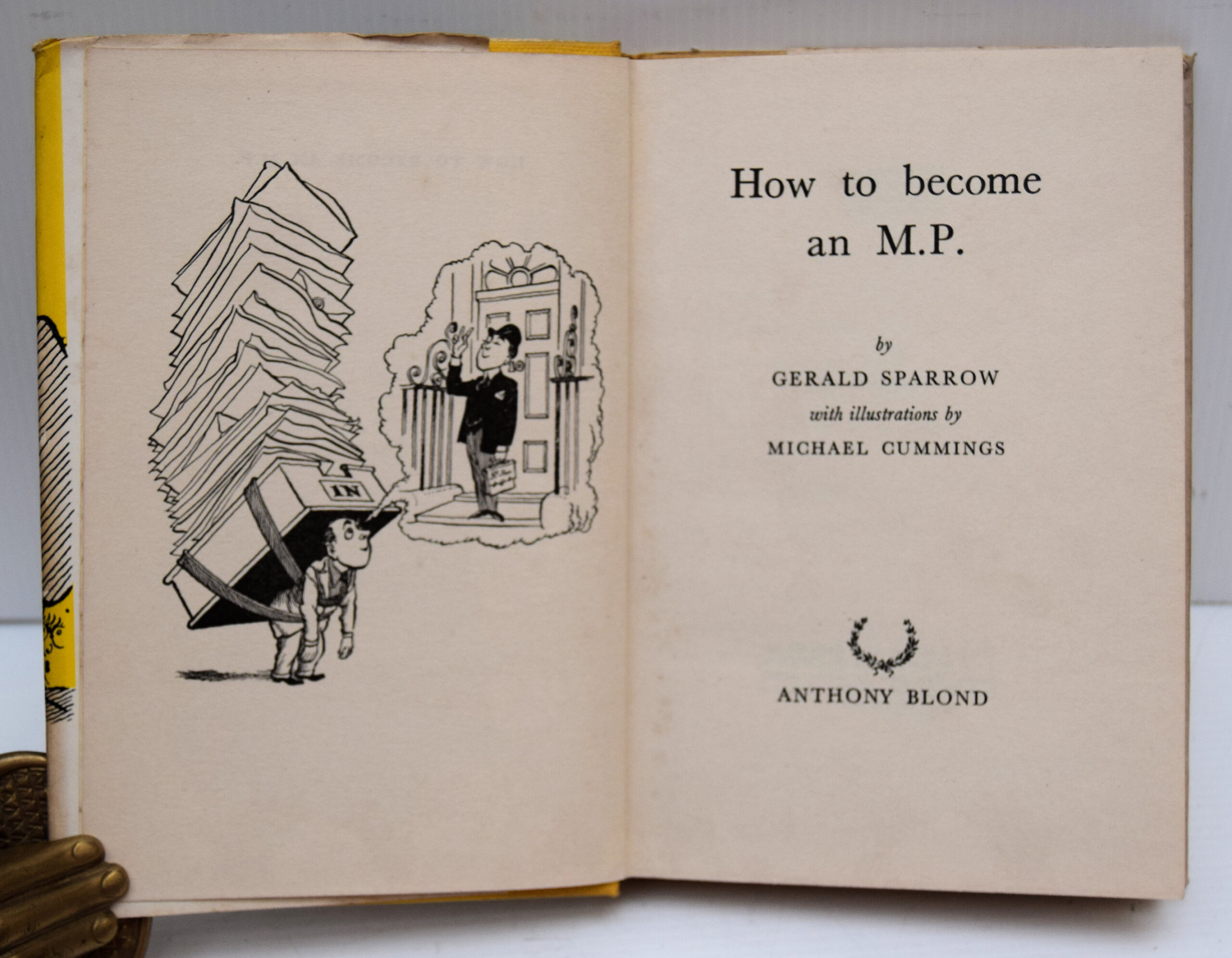HOW TO BECOME AN M.P. - Image 2