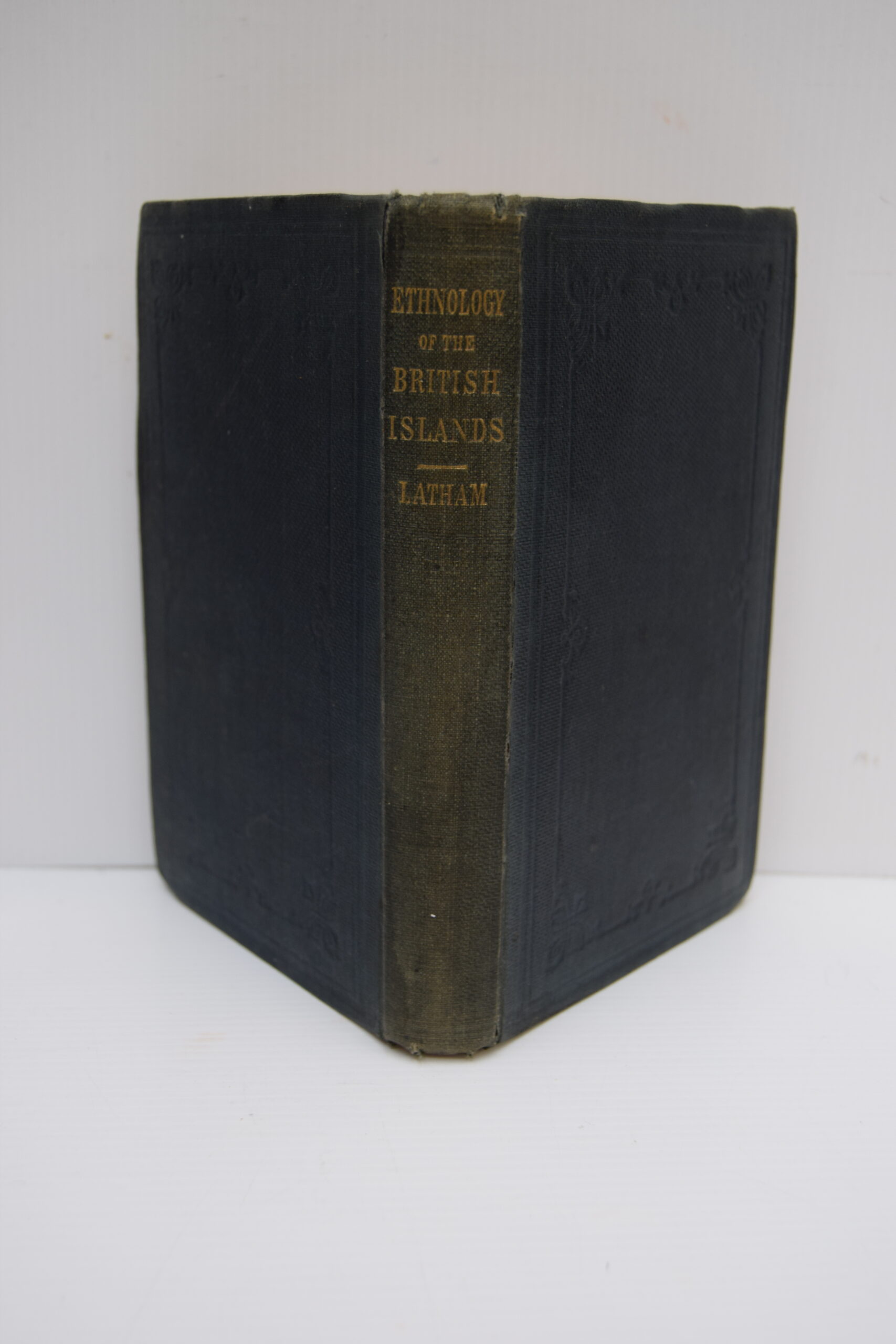 THE ETHNOLOGY OF THE BRITISH ISLANDS.