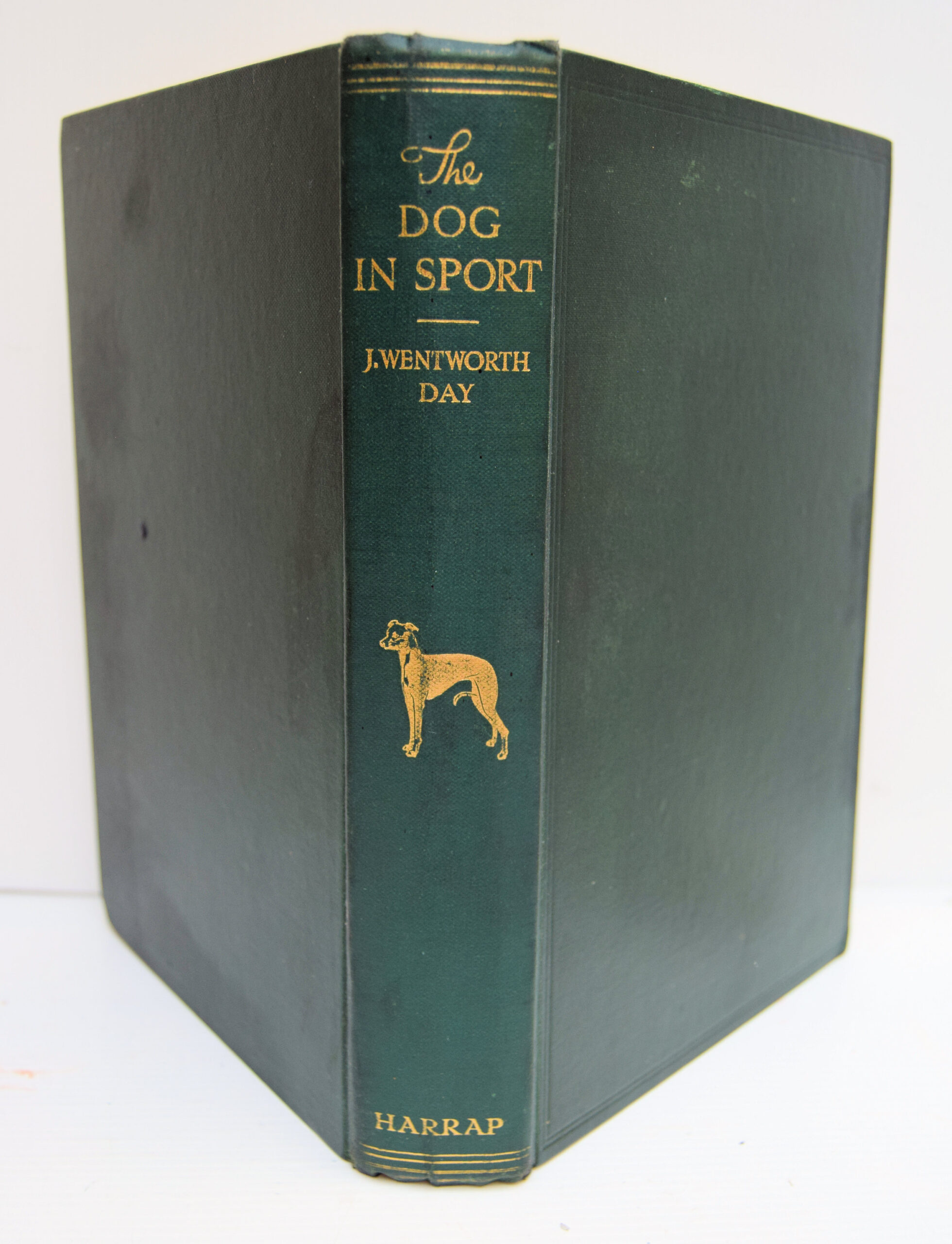 THE DOG IN SPORT.